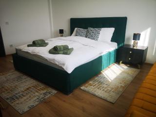MP Apartments-City Center-Free Wifi-Aircodition-Parking - Carei - 4