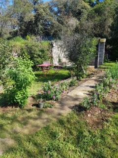 Cap au Sud Sweet home - Nimes - 9