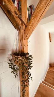 Charmantes Luxus Maisonette- Apartement - Bad Hersfeld - 1