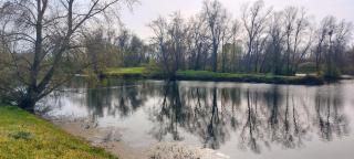 Studio sur les rives d'allier - Moulins - 3