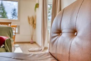 Le havre de Paix - Near Geneva - Calm and Quiet - Ferney-Voltaire - 6