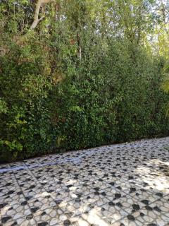 Villa Ahmed Youssef king marrouit - 9