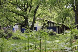 Maison de vacances en pleine nature avec piscine - 1
