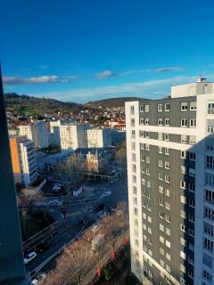 Appartement agréable spacieux - Clermont-Ferrand - 7