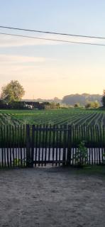 The Secret Garden - Herentals - 3