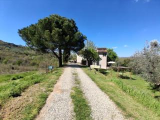 Felciolina - Medieval Country House B&B - Troghi - 9