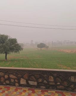 32Hill Farmstay - - 7