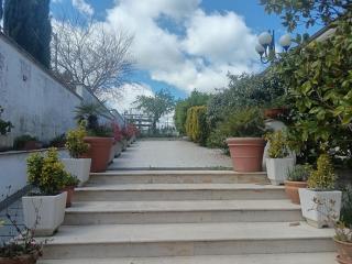 Hotel Sirios - San Giovanni Rotondo - 9