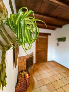 Casita Aetheria - Cereceda - 1