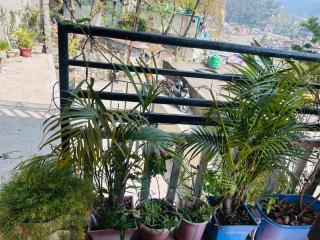 Viraj Home stay - Uttarkāshi - 7