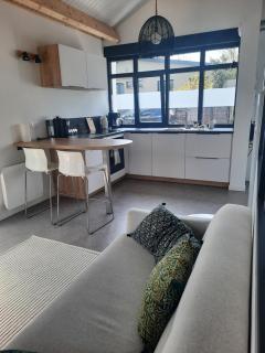 Le cottage , logement individuel de plain pied - Villeneuve d'Ascq - 8