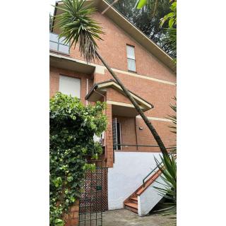 Italian Experience-Villa Monte Gabberi - Pietrasanta - 7