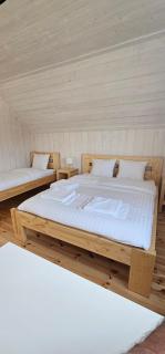 Domy pod lasem BANIA-SAUNA - Połęczyno - 2
