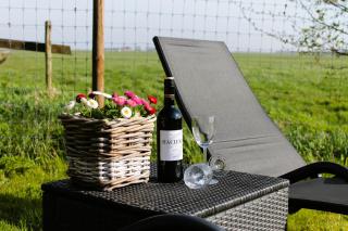 B&B de Friese Meren, helemaal privé voor jou! - Tjerkgaast - 3