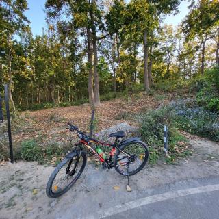 Peaceful Stay in Doon, Gateway to Mountains - Dehradun - 4