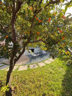 Residenza Bouganville - Torri del Benaco - 7