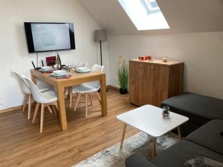 Apartmán JUZION skiareál Bukova hora - Červená Voda - 7
