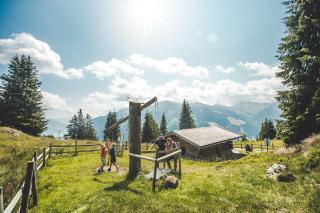 Der Unterschwarzachhof - Saalbach-Hinterglemm - 4