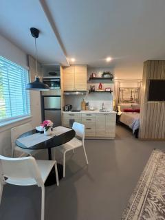 Window to Paris Studio on Lake Conroe - 0