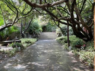 Villa a Rocchetta Luxury Guesthouse - Monterosso al Mare - 7