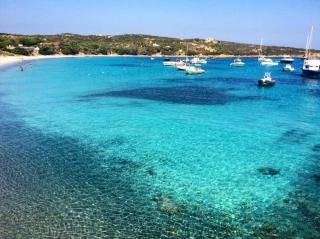 Cozy studio immersed in the countryside - La Maddalena - 7