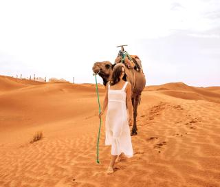 Merzouga Dunes Glamping - Merzouga - 0