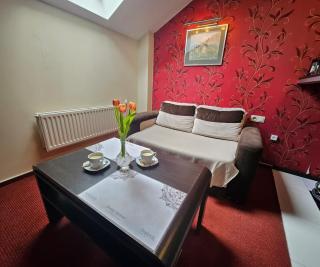 Euphoria Residence - Sosnowiec - 8