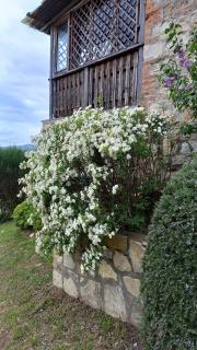 Podere Casalbosco - Idromassaggio e panorama - Rapolano Terme - 9
