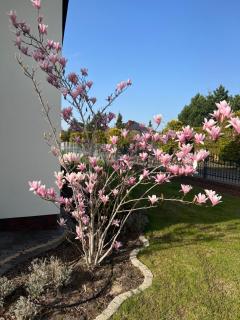 Apartamenty Bursztynowe - Dębki - 9