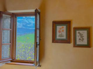 Country Charm & Jacuzzi - Cetona - 1