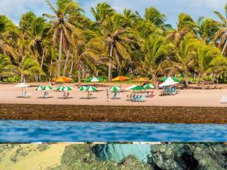 Apartamento Reserva Timeantube - Mata de São João - 8