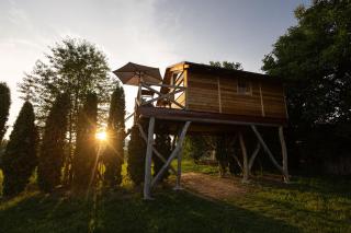 Ptačí domek - Úštěk - 7