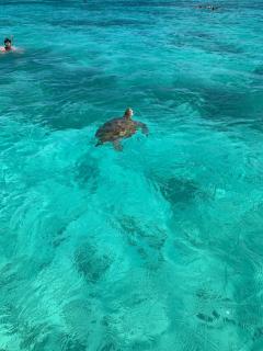 Perfect summer excursions - 6