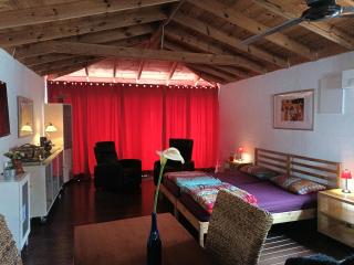 Finca Casa Madera 3 - La Vega - 8