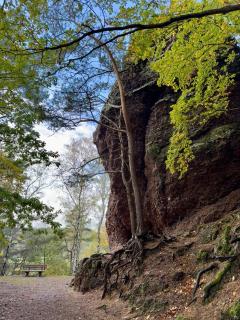 Het GENIEThuisje - Het Kleine Genot, vakantiewoning voor 2-4p in de Eifel - Heimbach - 7