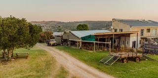 Emerald Vale Ale Cottage - Lone Tree - 9