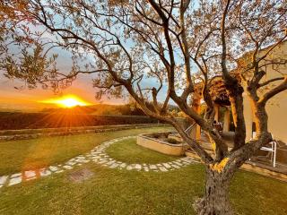 Villa, private Garden of Eden, and stunning vistas - Pittulongu - 9