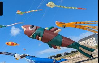 Le Petit Jersey - Barneville-Carteret - 1