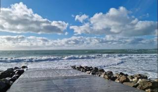 Le Petit Jersey - 9