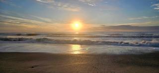 Reefs III - Carolina Beach - 7