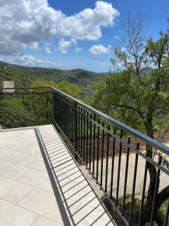Dente di Leone - San Mauro Cilento - 8