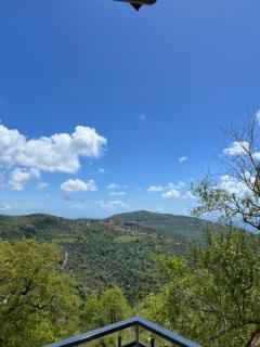 Dente di Leone - San Mauro Cilento - 9