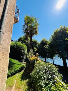 Appartamento Belvedere - Orta San Giulio - 2