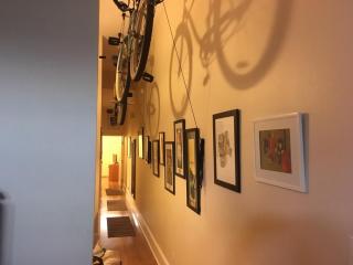 Near bustling Magazine St with bikes - New Orleans - 7