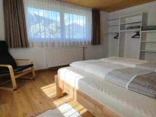 Alpenbauernhaus Konzett - Schruns - 1