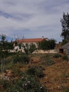 Maison de location Tlemcen ville - Tlemcen - 6