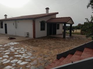 Maison de location Tlemcen ville - Tlemcen - 4