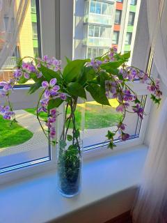 Modern apartments in a new building - 8