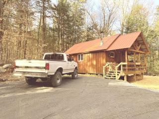 Cozy Off-Grid Cabin Nestled in the Trees in Sunderland, Vermont - Sunderland - 8