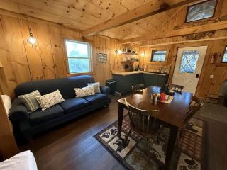 Cozy Off-Grid Cabin Nestled in the Trees in Sunderland, Vermont - Sunderland - 1